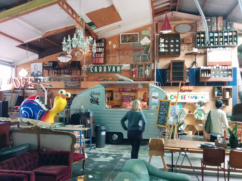 Check out Junk & Disorderly in Mt Eden