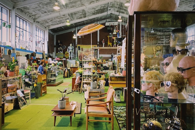 Check out Junk & Disorderly in Mt Eden