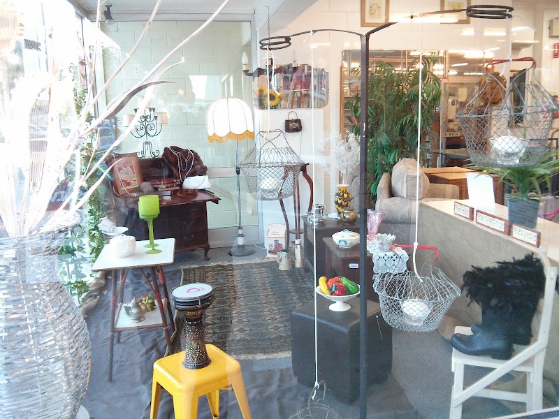 Check out Salvos Stores Nerang in NERANG