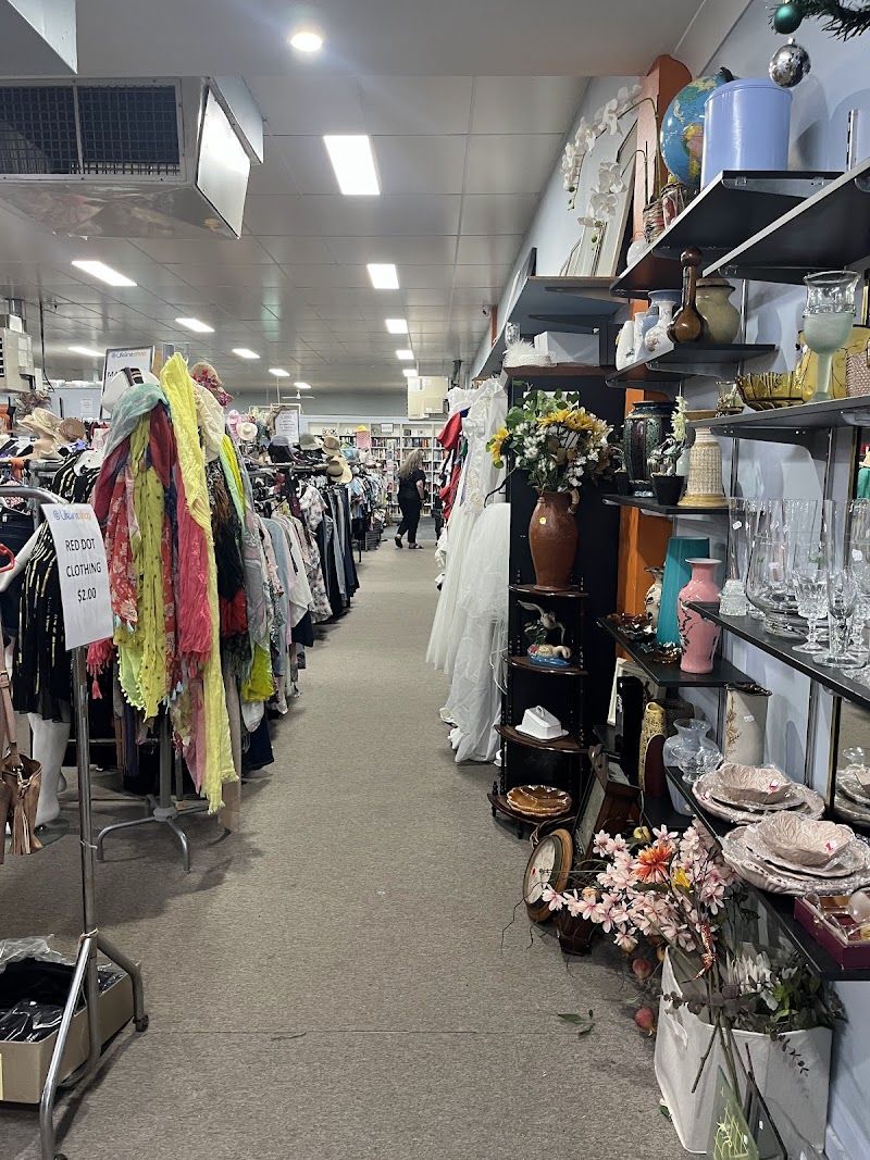 Check out Lifeline Shop Albury in Albury