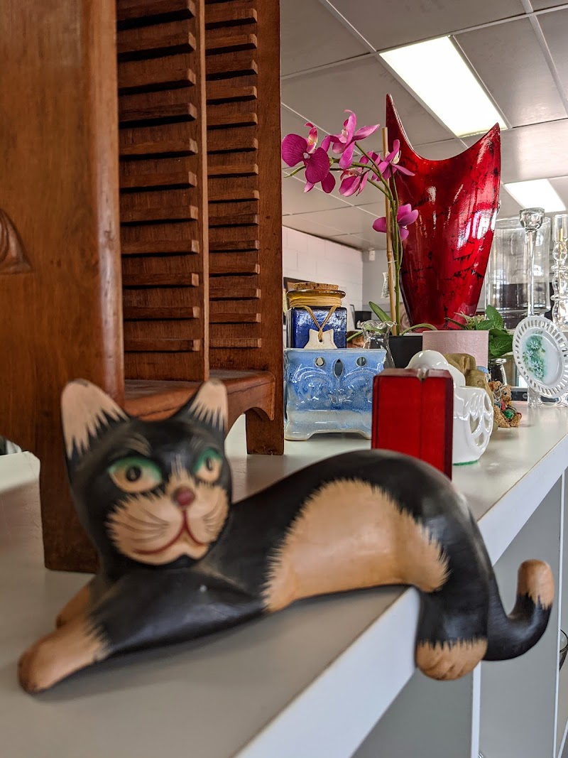Check out Vinnies Palmerston in PALMERSTON