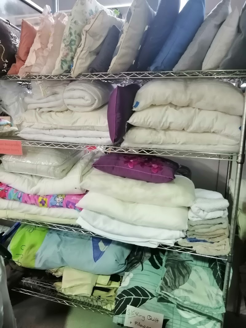 Check out Care Animal Rescue Op Shop Taupo in Taupō