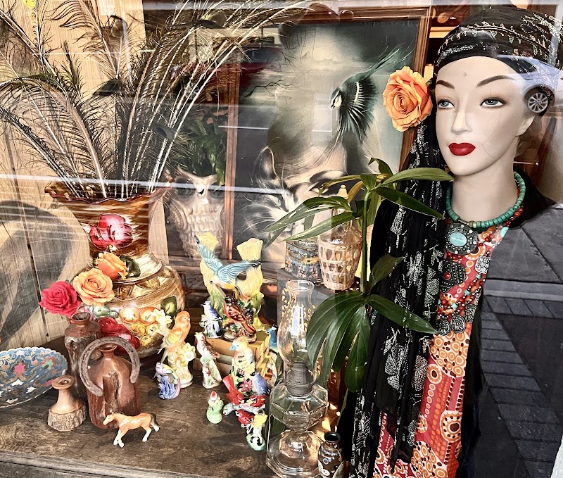 Check out The Pony & The Gypsy in Springwood