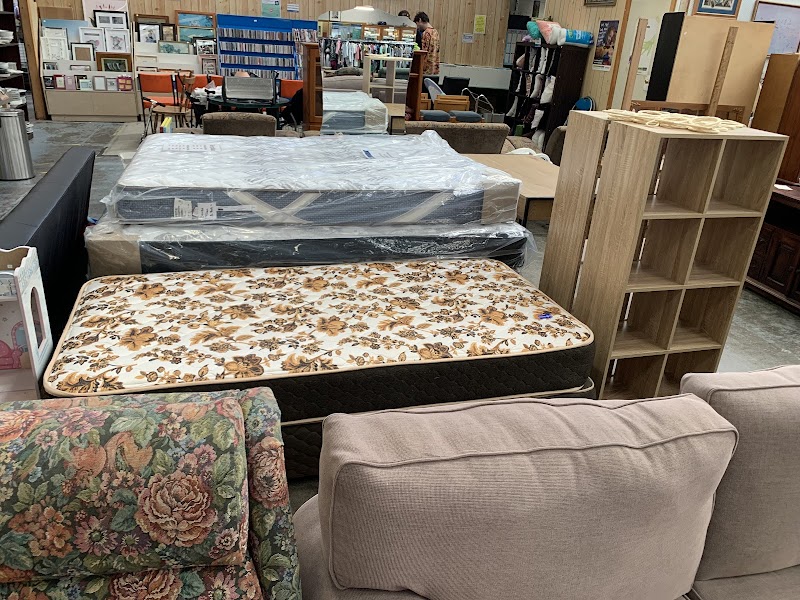 Check out Vinnies North Hobart in North Hobart