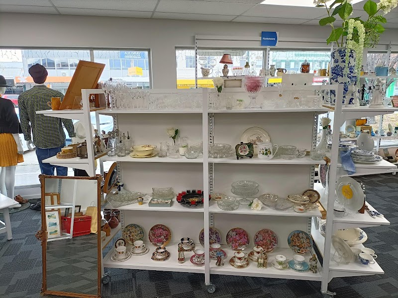 Check out GORE SPCA OP SHOP in Gore