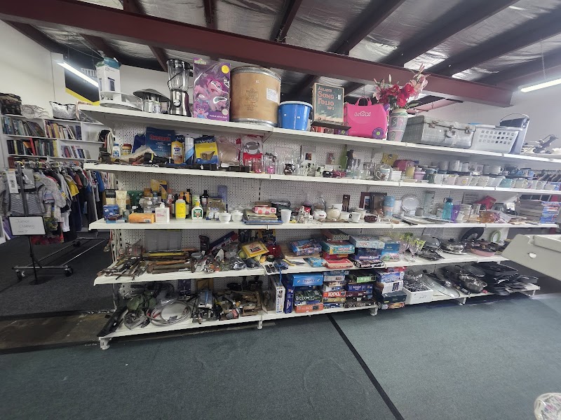 Check out Brucy’s Reclaimed Treasures Sale in Sale