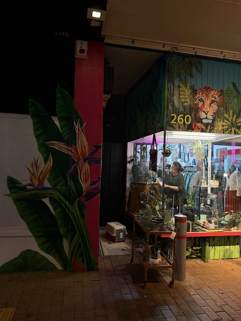 Check out Eclectik in Hamilton Central