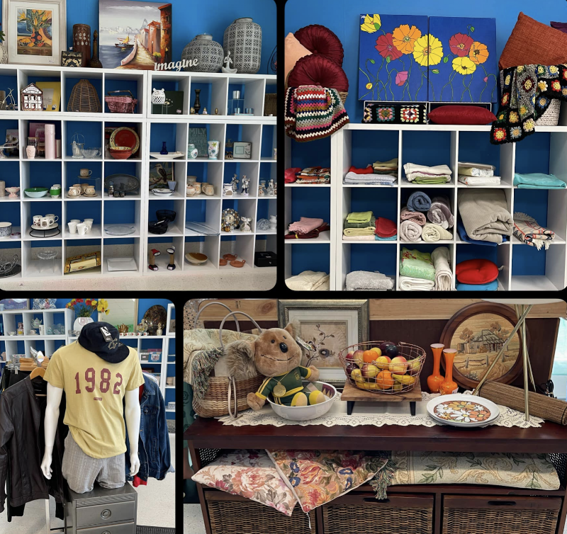 Check out Lifeline Shop East Maitland in East Maitland