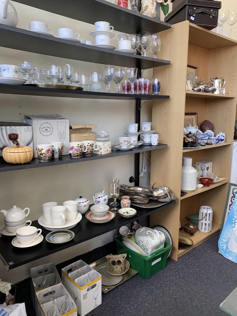 Check out Red Cross Shop Dominion Road in Mt Eden