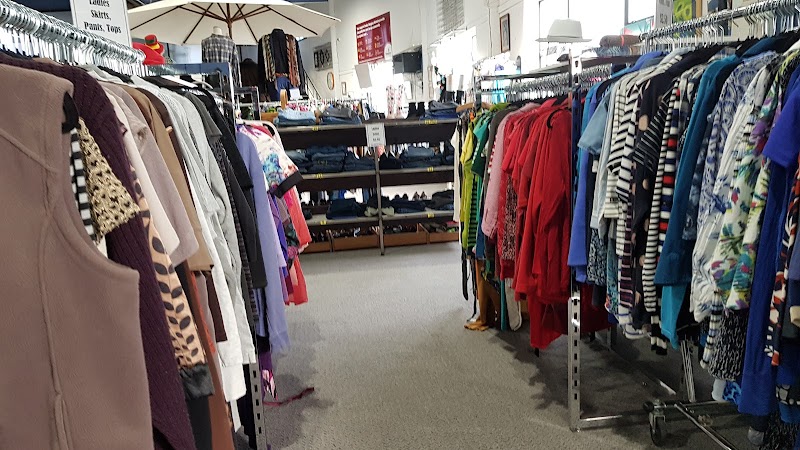 Check out Hospice Shop Waikato – Claudelands in Hamilton East