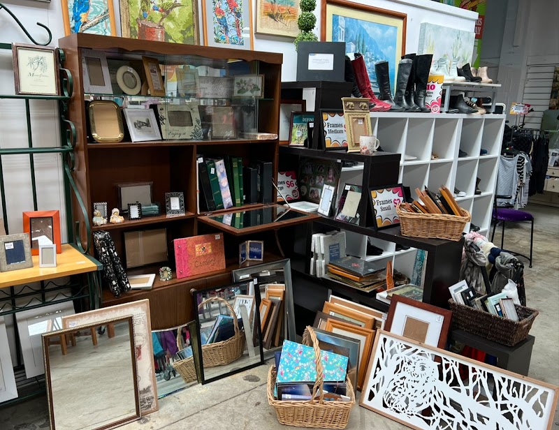 Check out Totara Hospice Megastore in Pakuranga