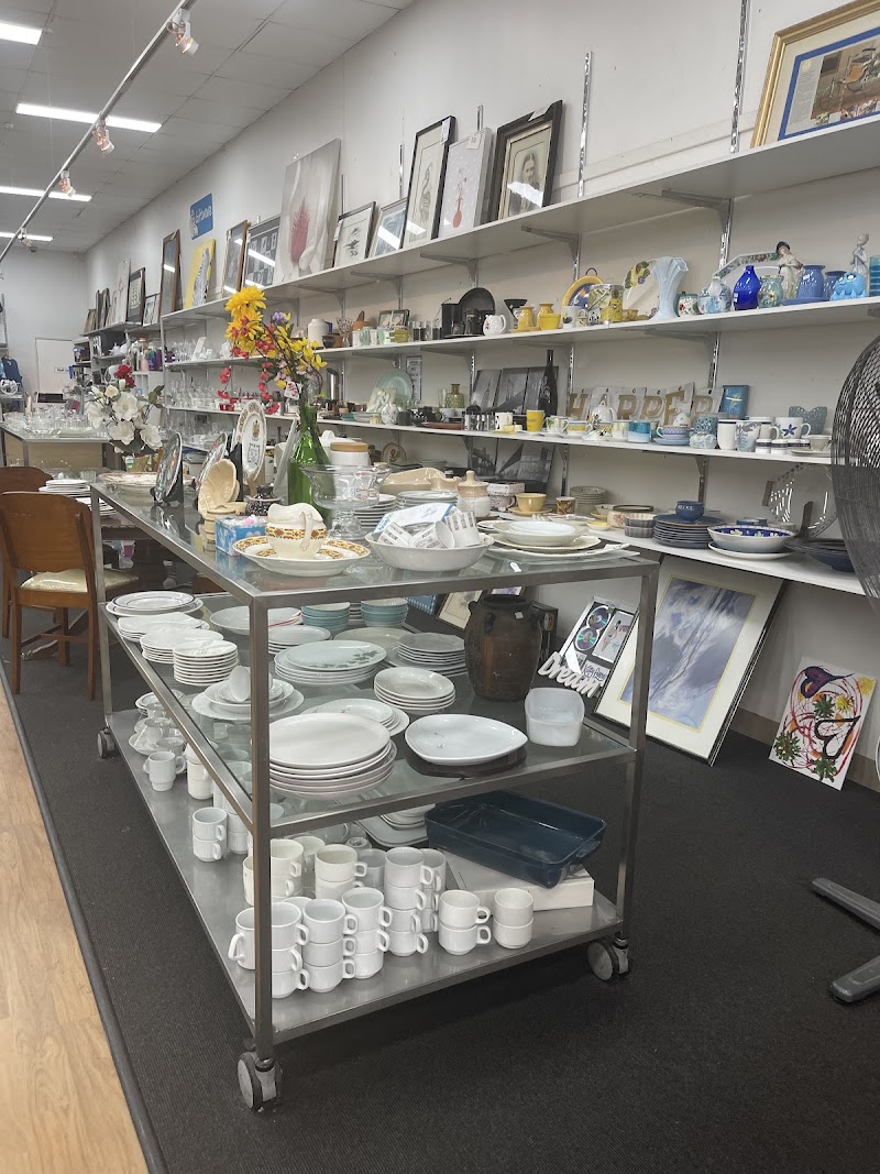 Check out RSPCA Op Shop Stones Corner in Stones Corner