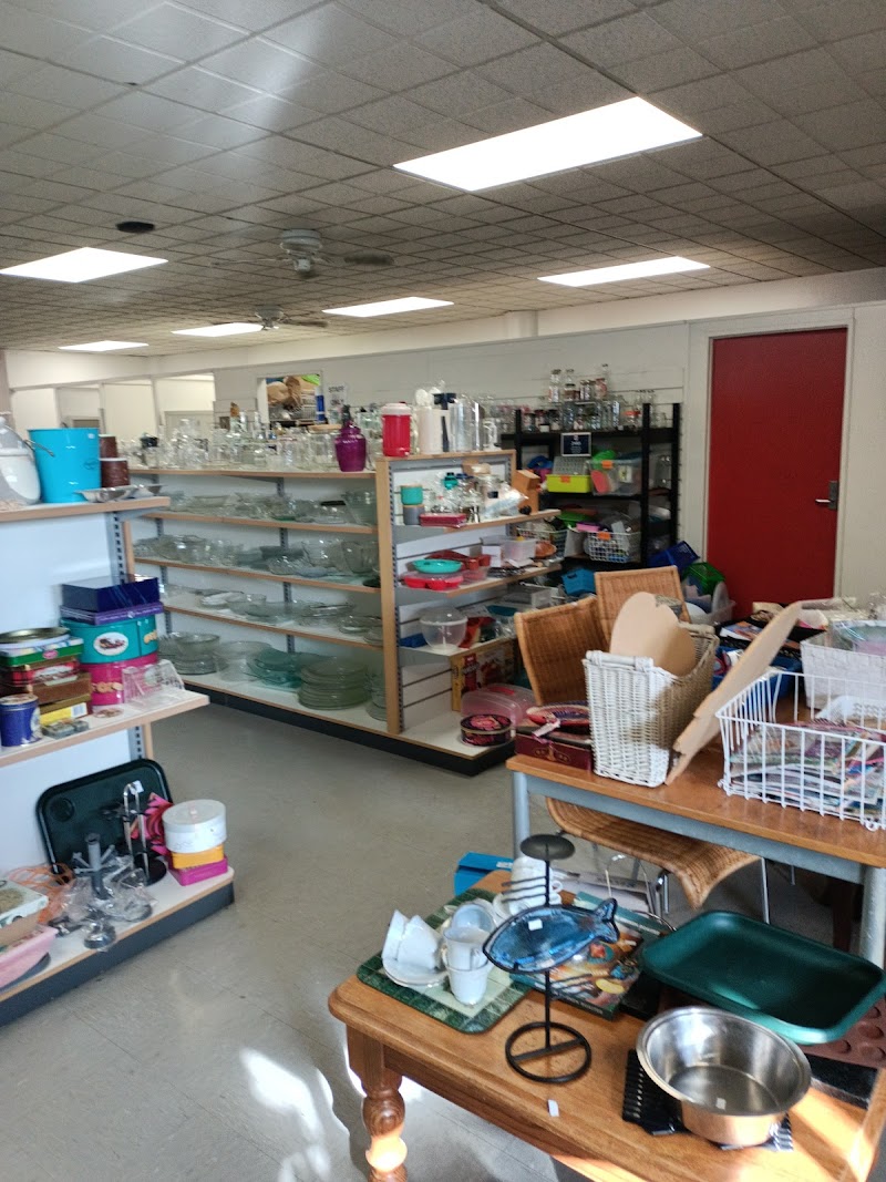Check out Tauranga Family Store in Tauranga