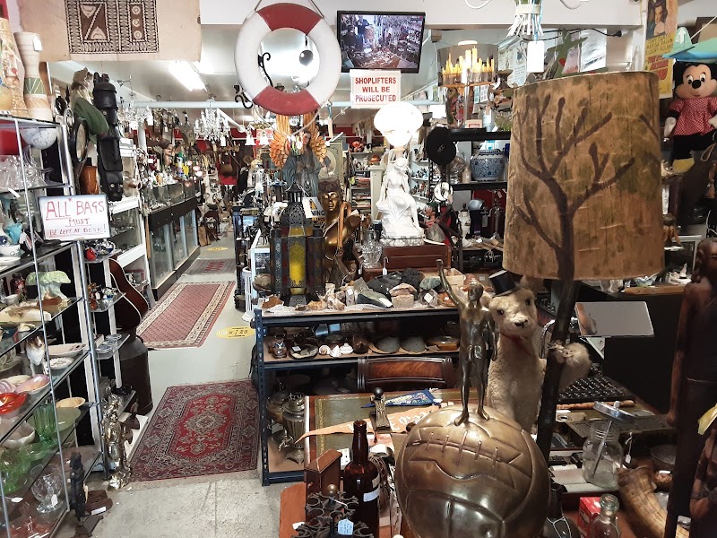 Check out Molloy's MEGA Antique Centre in Takapuna