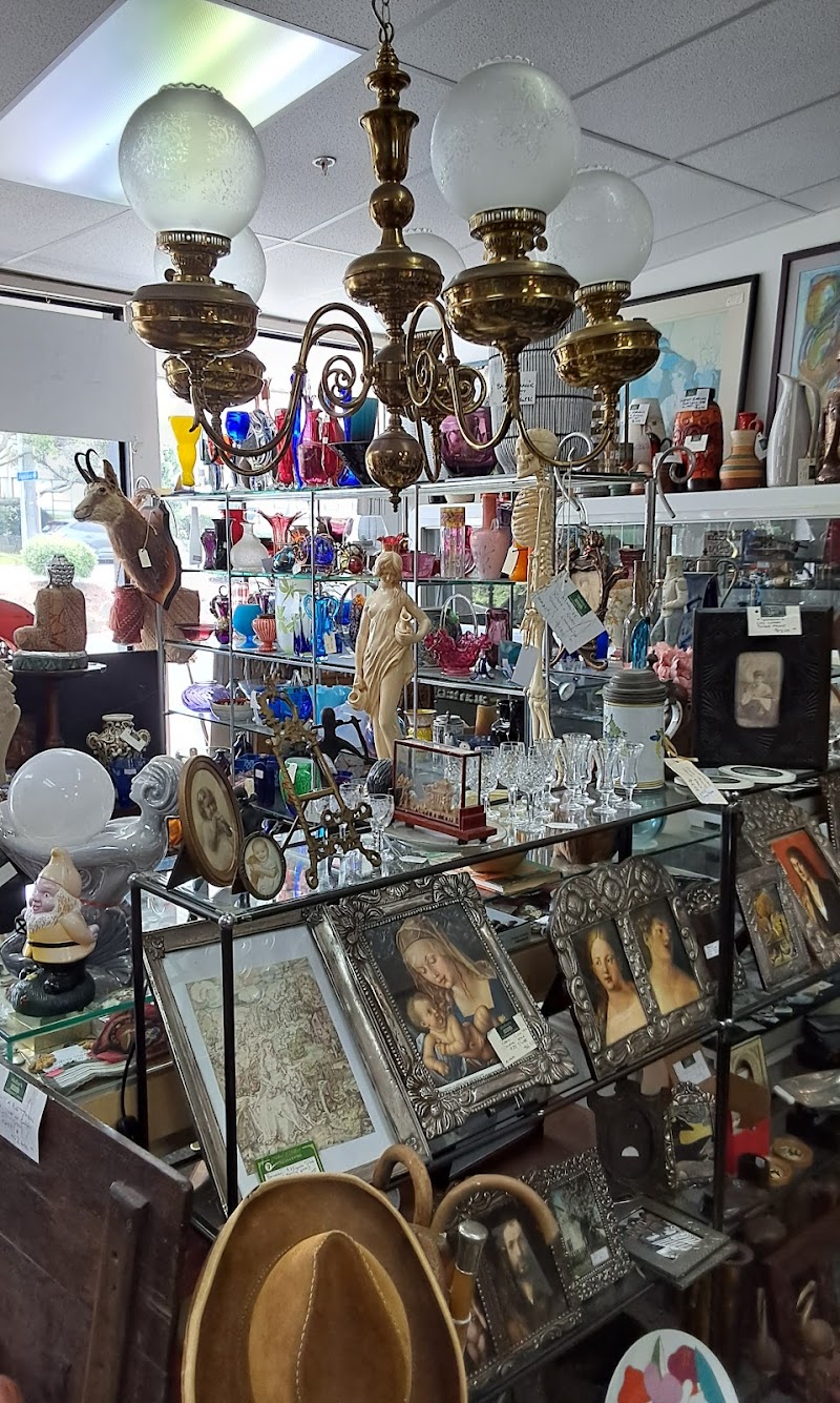 Check out Molloy's MEGA Antique Centre in Takapuna