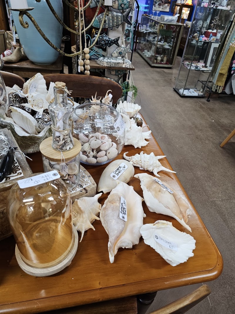 Check out Cowes Bazaar and Gallery in Cowes