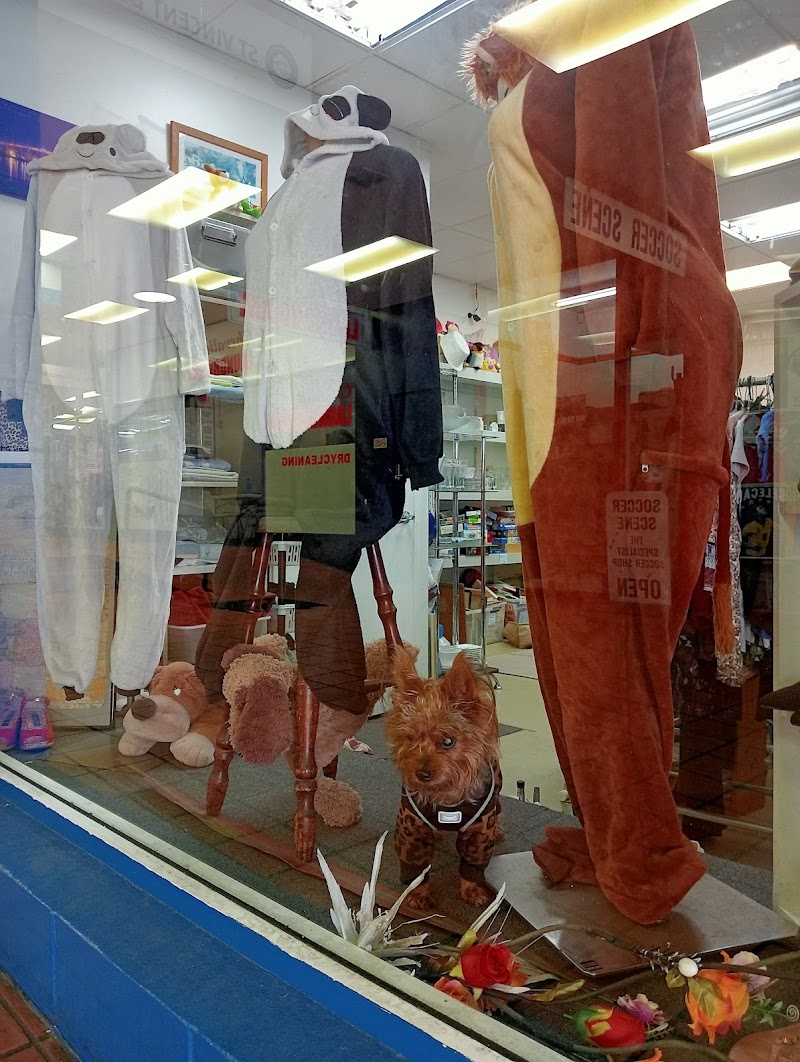 Check out ST VINCENT DE PAUL in Point Chevalier