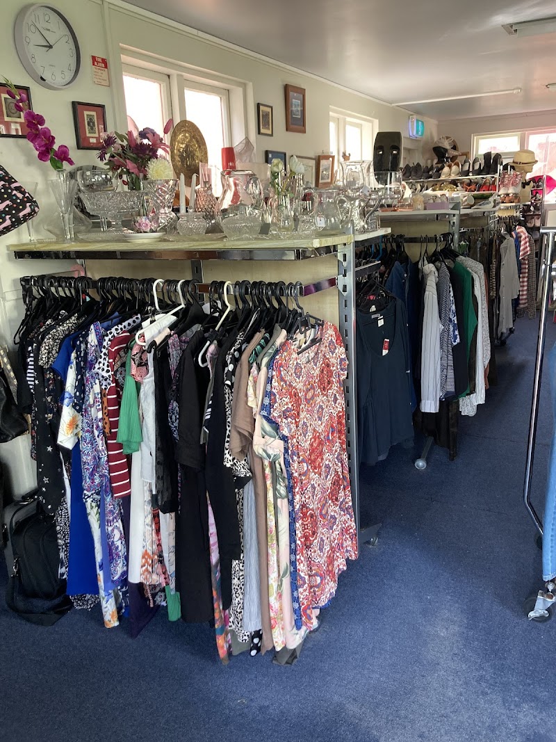 Check out St Paul's Op Shop, Milford in Milford
