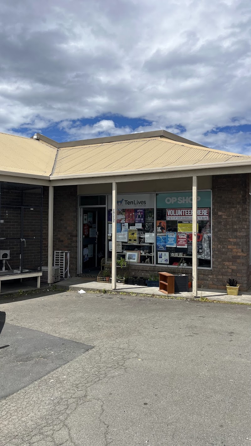 Check out The Hobart Cat Centre Op-Shop in Margate