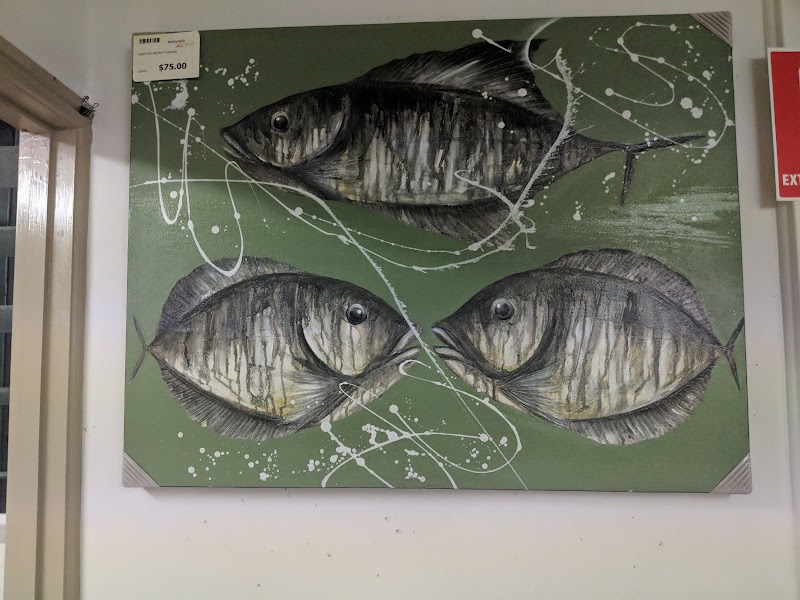 Check out Blue Care Bribie Island Thrift Shop in Bongaree