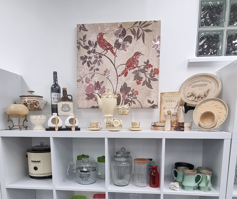 Check out Lifeline Shop Toronto in Toronto