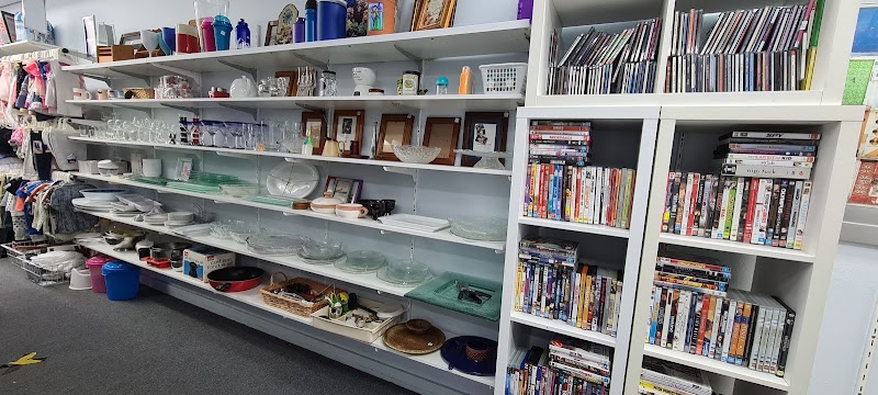 Check out Vinnies Toronto in TORONTO