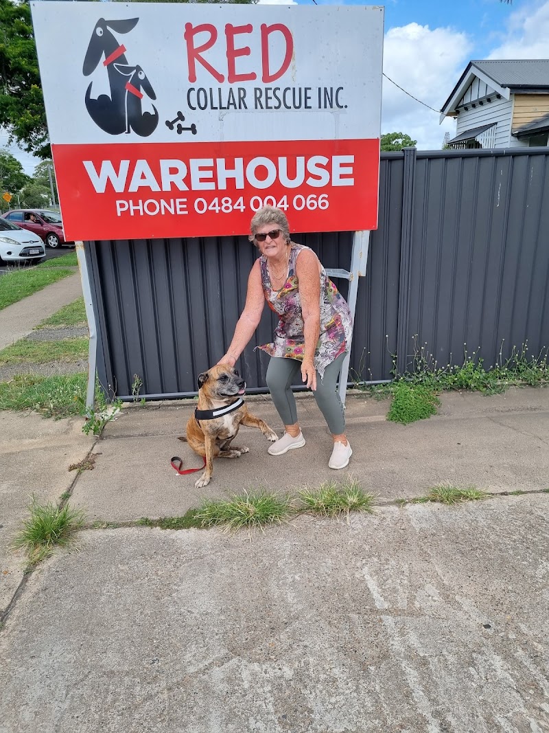 Check out Red Collar Rescue Bundaberg in Bundaberg