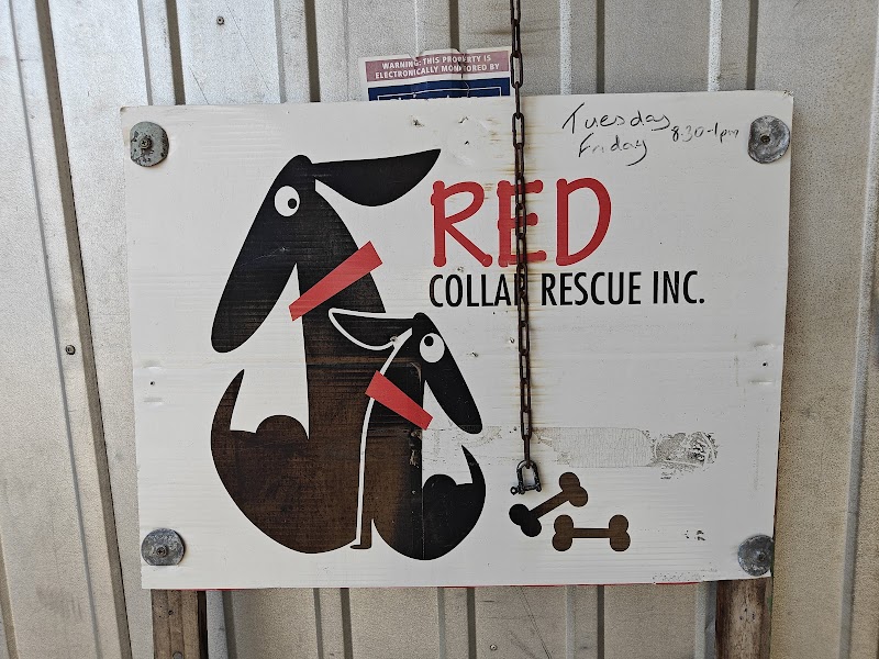 Check out Red Collar Rescue Bundaberg in Bundaberg
