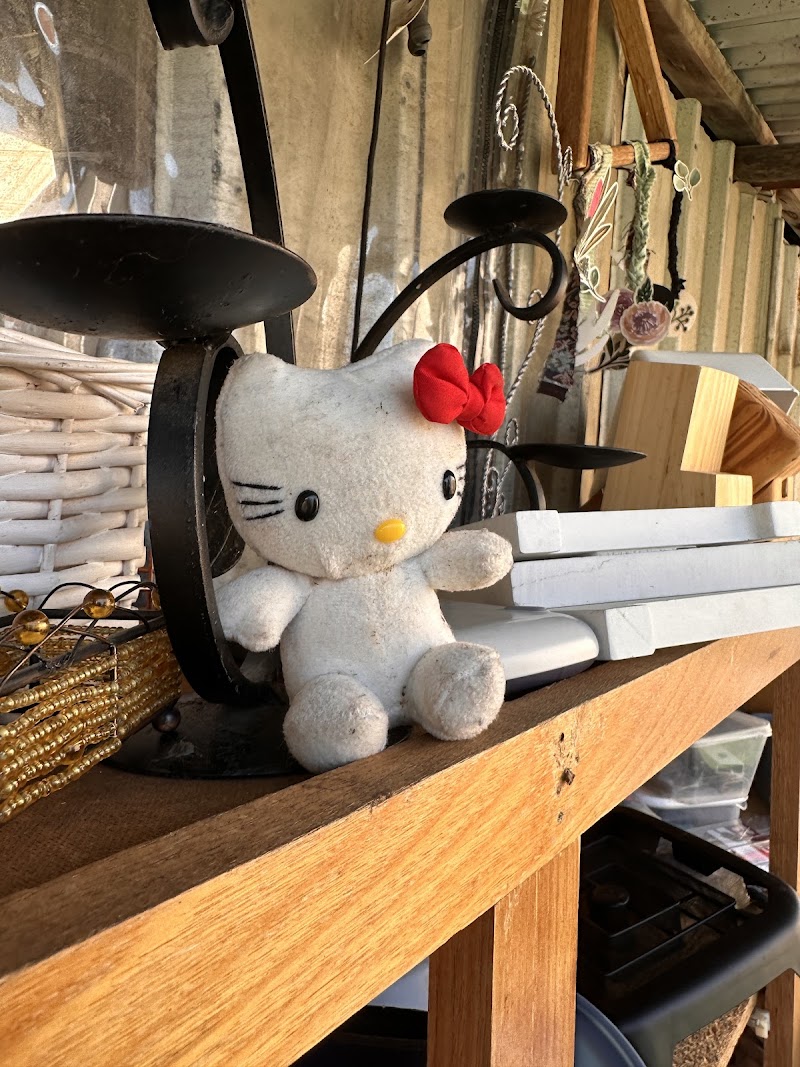 Check out St Mary's Op Shop in Busselton