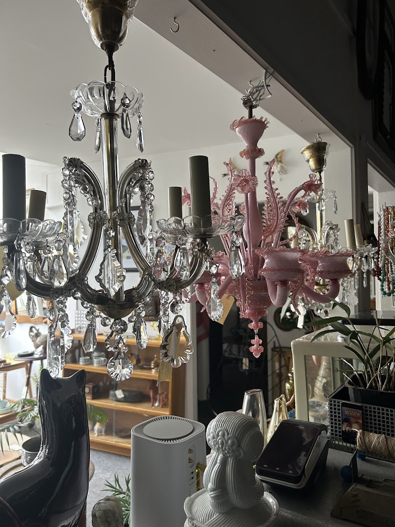Check out Add+Vintage in Te Aro