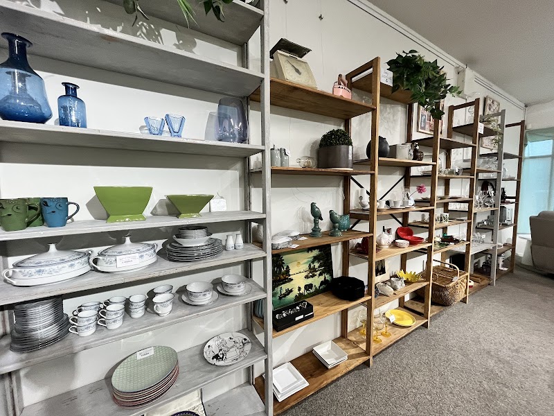 Check out Salt Op Shop Wairau in Northcote