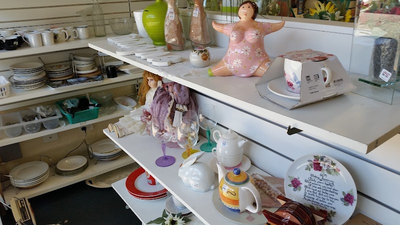 Check out Vinnies Dulwich Hill in DULWICH HILL
