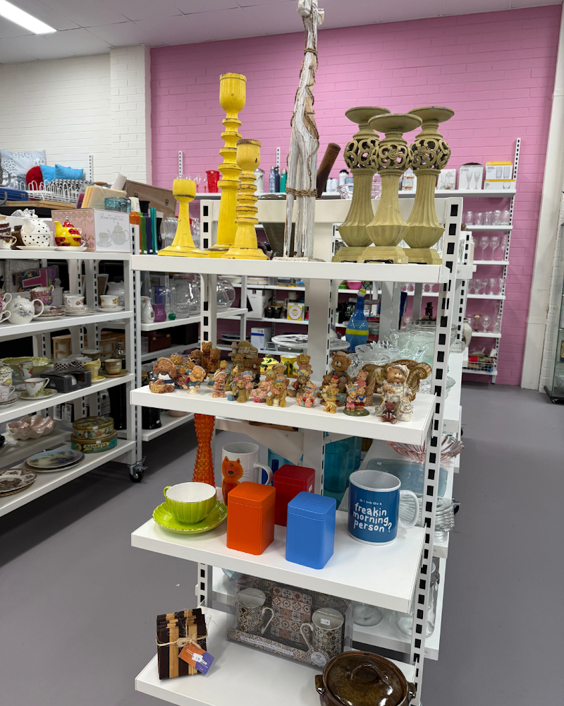 Check out Cat Haven Op Shop Scarborough in Scarborough