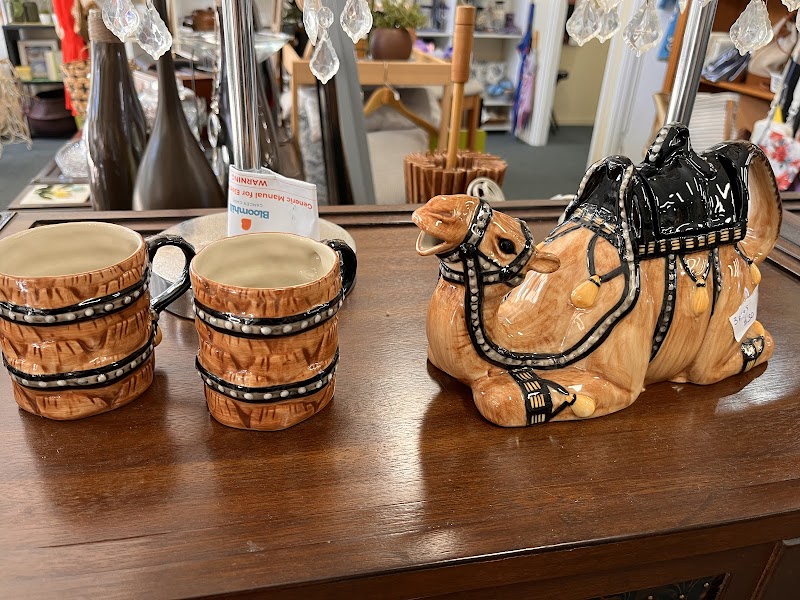 Check out Bloomhill Op Shop Mountain Creek in Brightwater