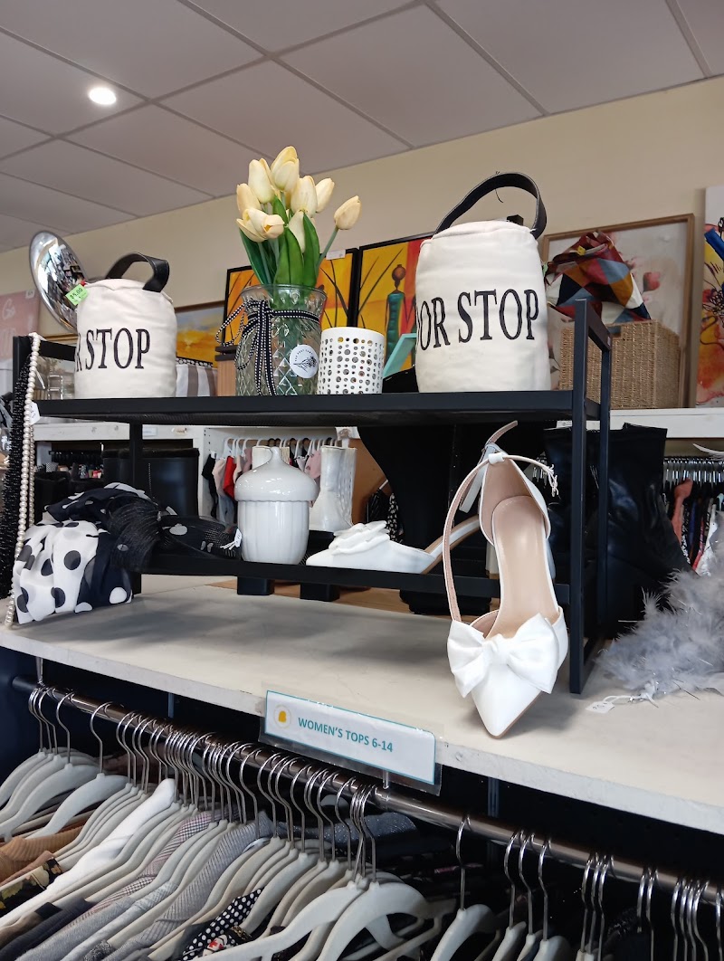 Check out Bloomhill Op Shop Mountain Creek in Brightwater