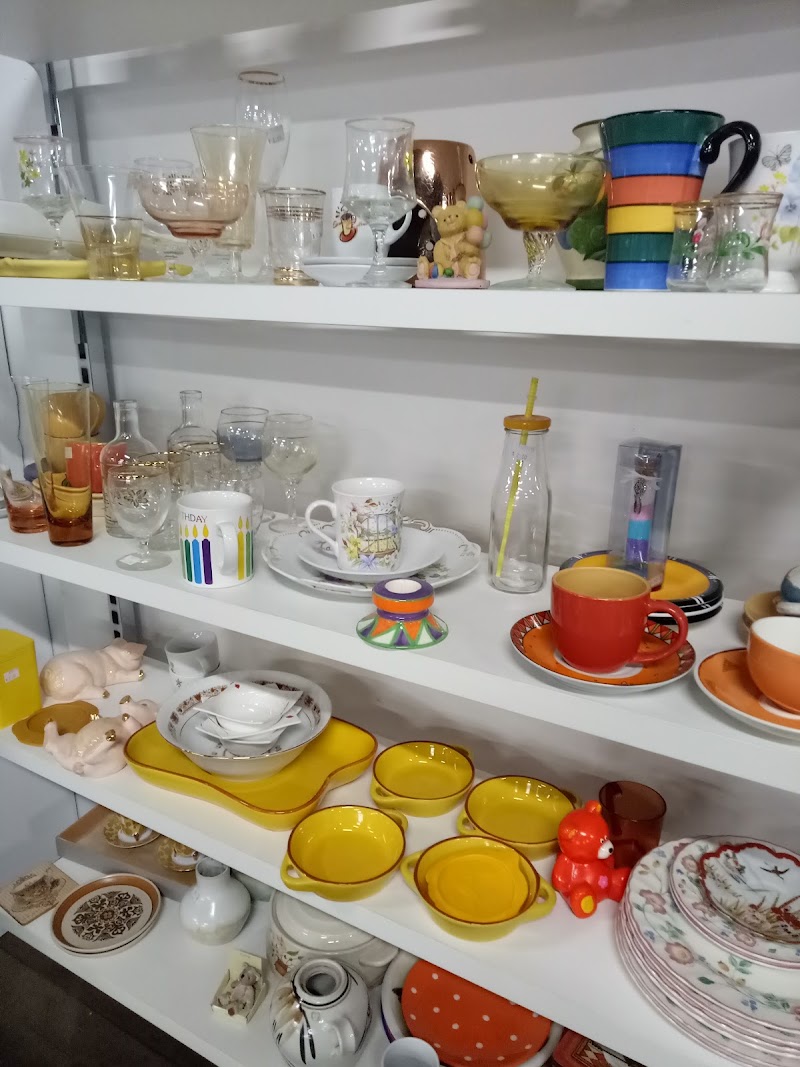 Check out Salvos Stores Newstead in NEWSTEAD