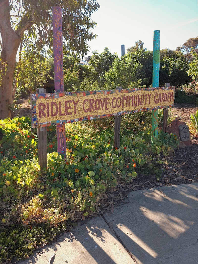 Check out The Grove Op Shop Woodville Gardens in Woodville Gardens
