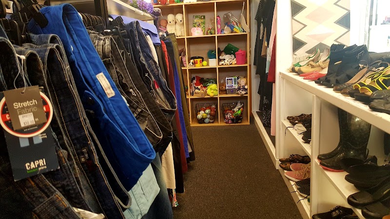 Check out SPCA Op Shop Three Kings in Three Kings