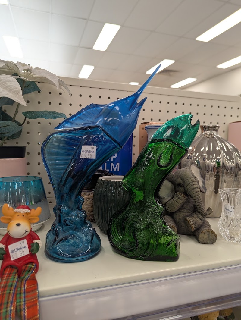 Check out Lifeline Shop Wynnum in Wynnum