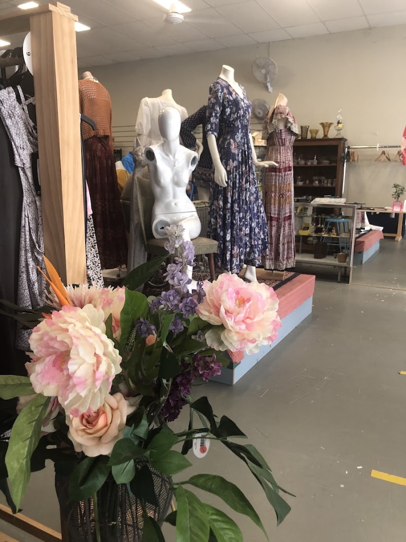 Check out Lifeline Shop Toormina in Toormina