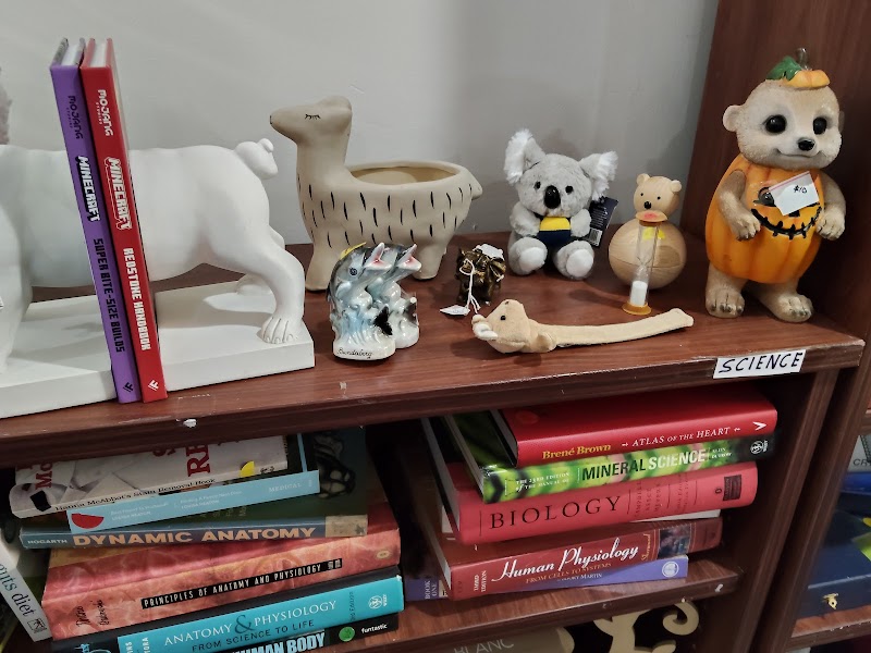 Check out St Majella's Op Shop in Chermside West