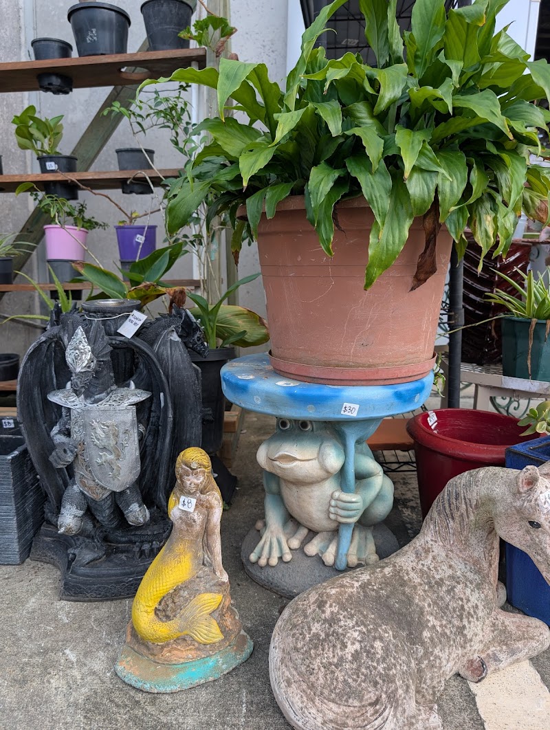 Check out Care Outreach Care Shoppe Coolum Beach in Coolum Beach