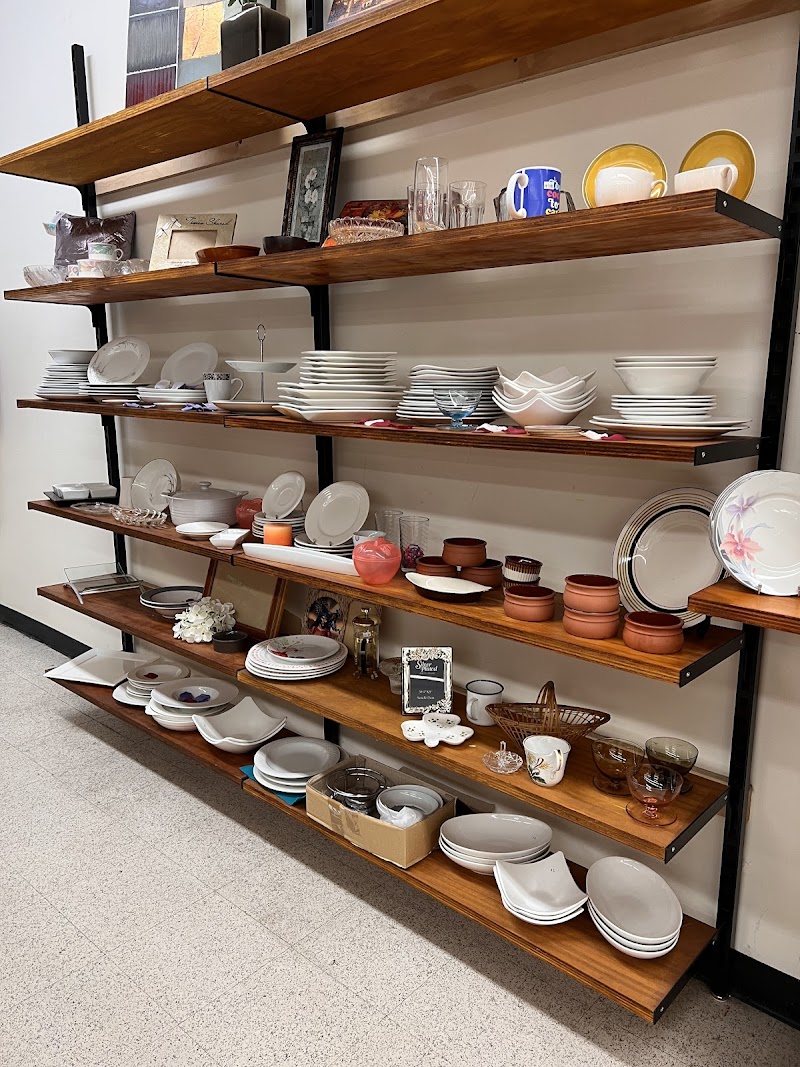 Check out Salvos Stores Devonport in DEVONPORT