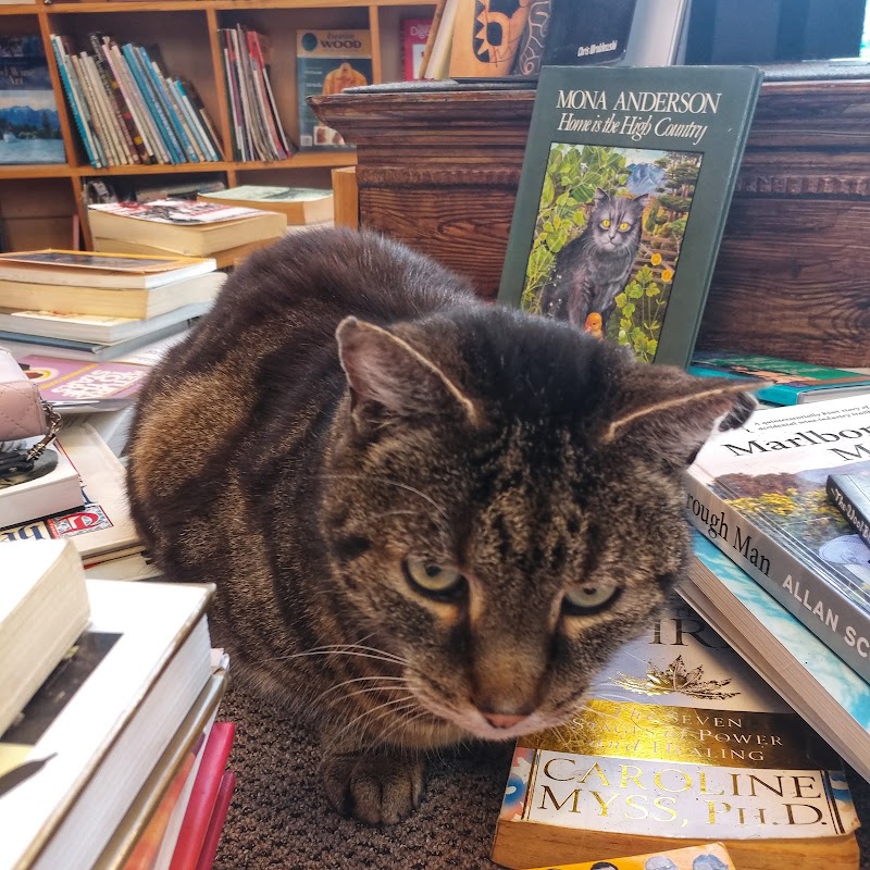 Check out Book Inn in Te Kamo