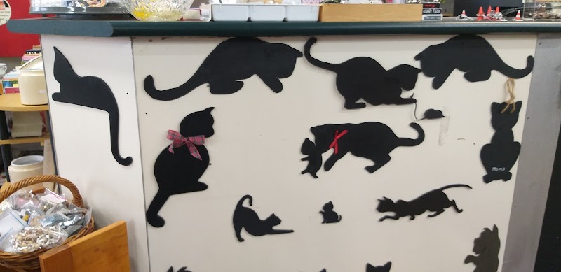 Check out SPCA Op Shop Richmond in Richmond