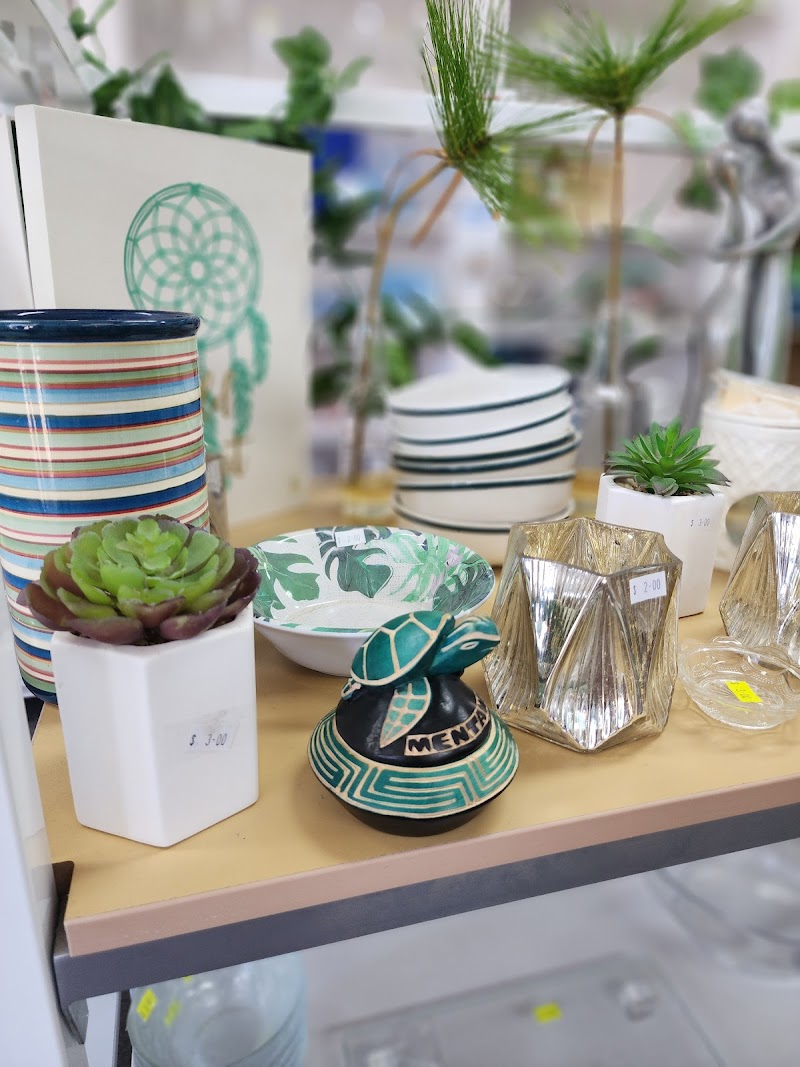 Check out Vinnies Palm Beach in Palm Beach