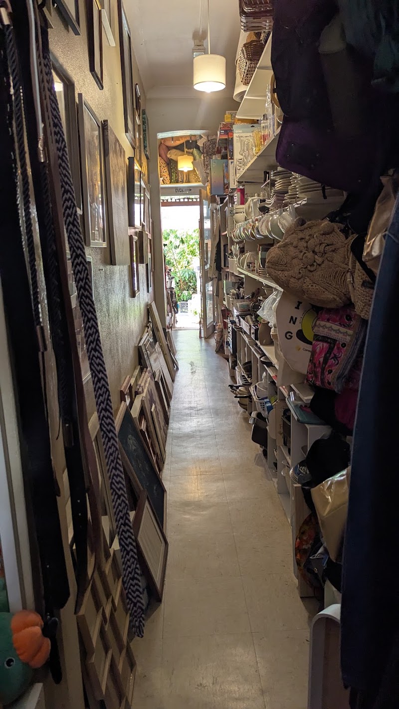 Check out The Glebe Community Op Shop in Glebe