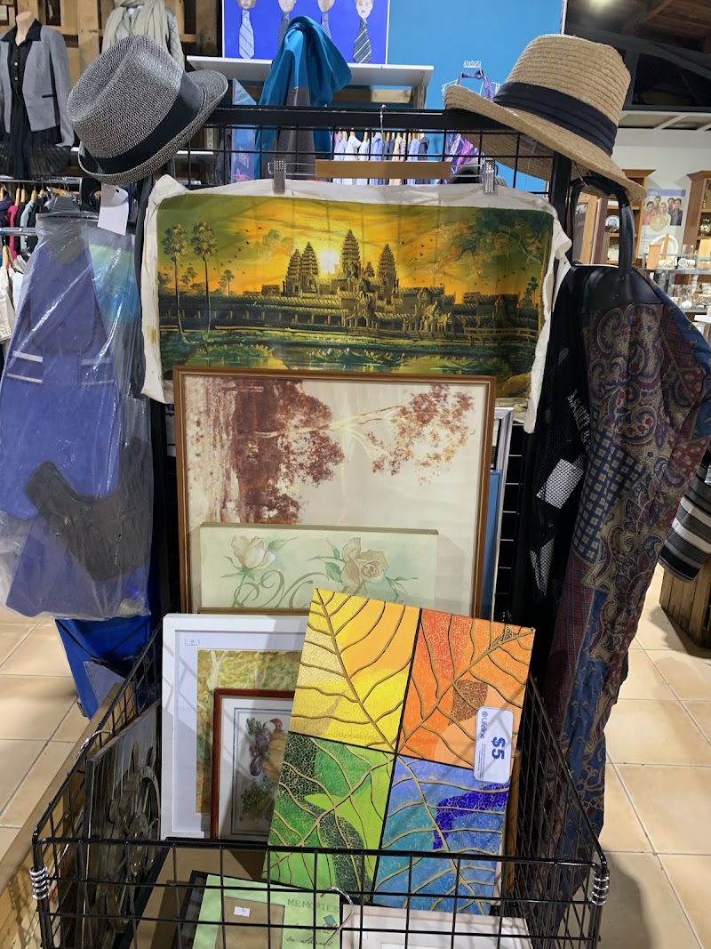 Check out Lifeline Shop Woy Woy in Woy Woy