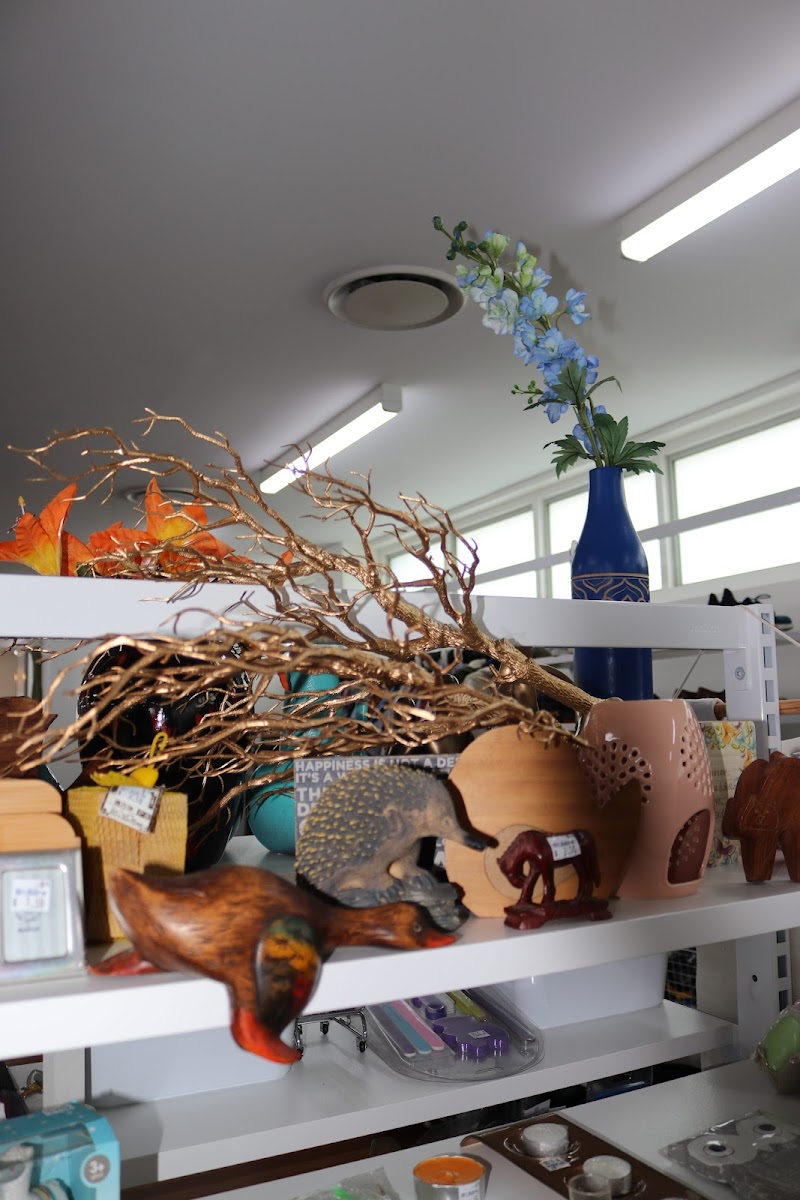 Check out Lifeline Shop Taringa in Taringa