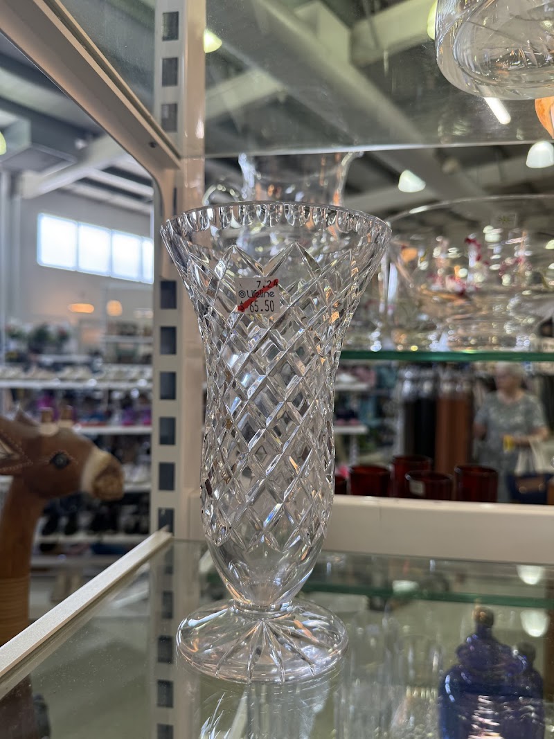 Check out Lifeline Shop Sandgate in Sandgate